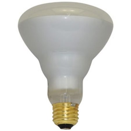 Replacement for Ushio 1003219 replacement light bulb lamp -  ILC, 1003219 USHIO